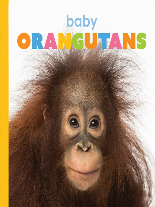 Title details for Baby Orangutans by Kate Riggs - Available